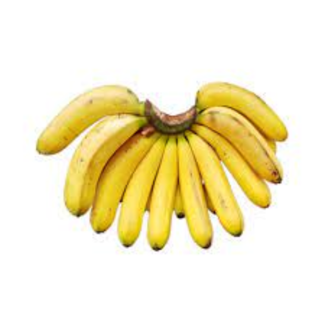 Pisang Raja Banana Known for Sweet Tropical Dessert Flavor
