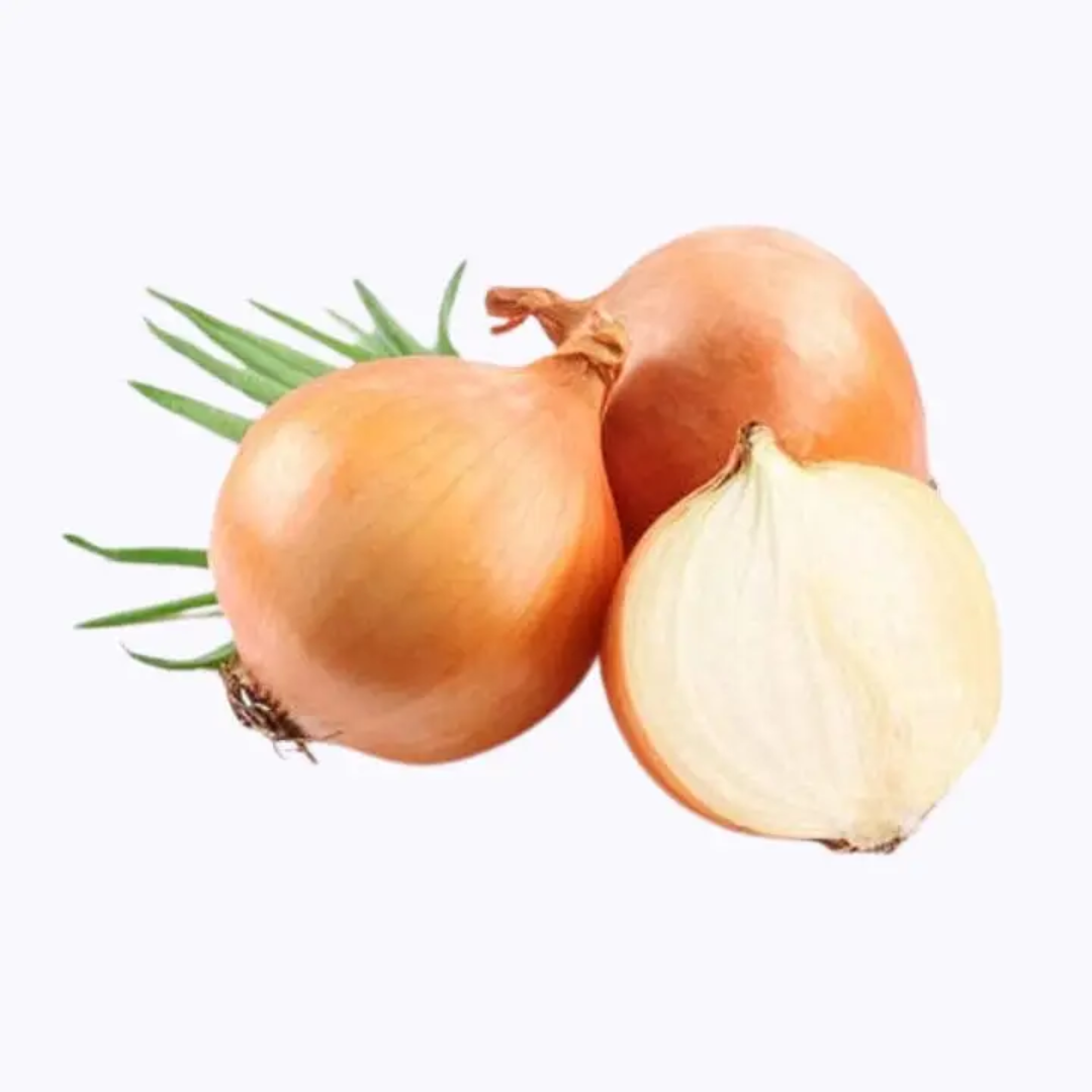 Yellow Onion Wholesale For Everyday Cooking