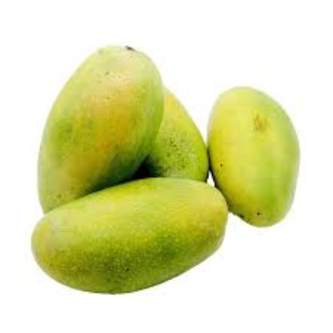 Dasheri Mango for Fresh Fruit Export and Overseas Supply