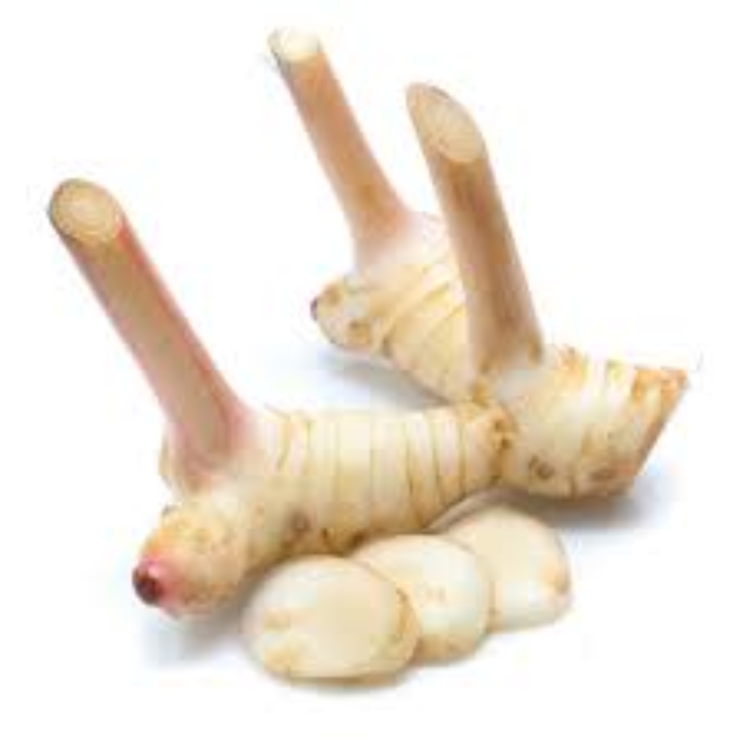 Galangal Ginger for Aromatic Asian Culinary Recipes Styles