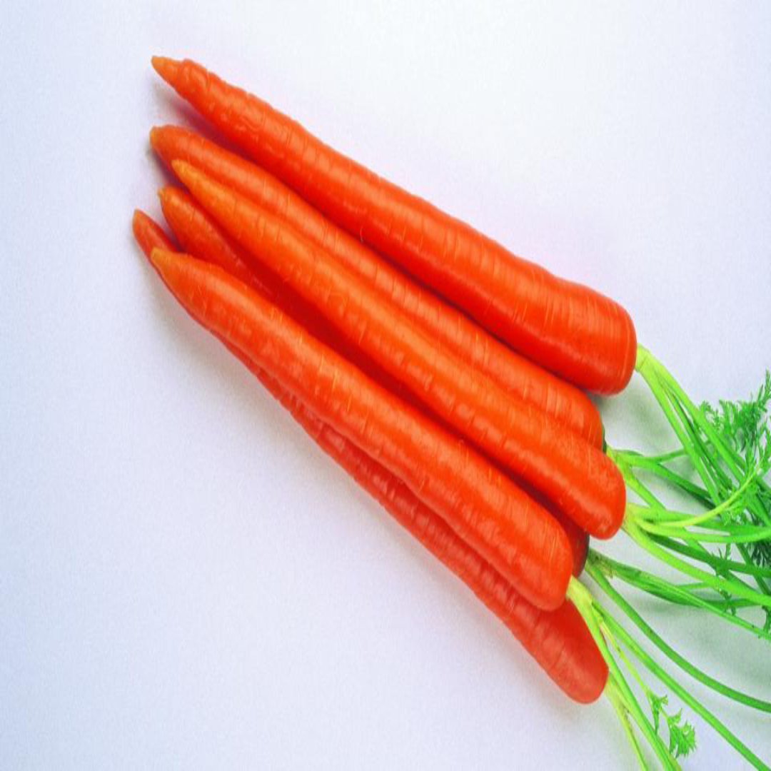 Enterprise Carrots for Crisp Fresh Flavor and Nutritious Meals