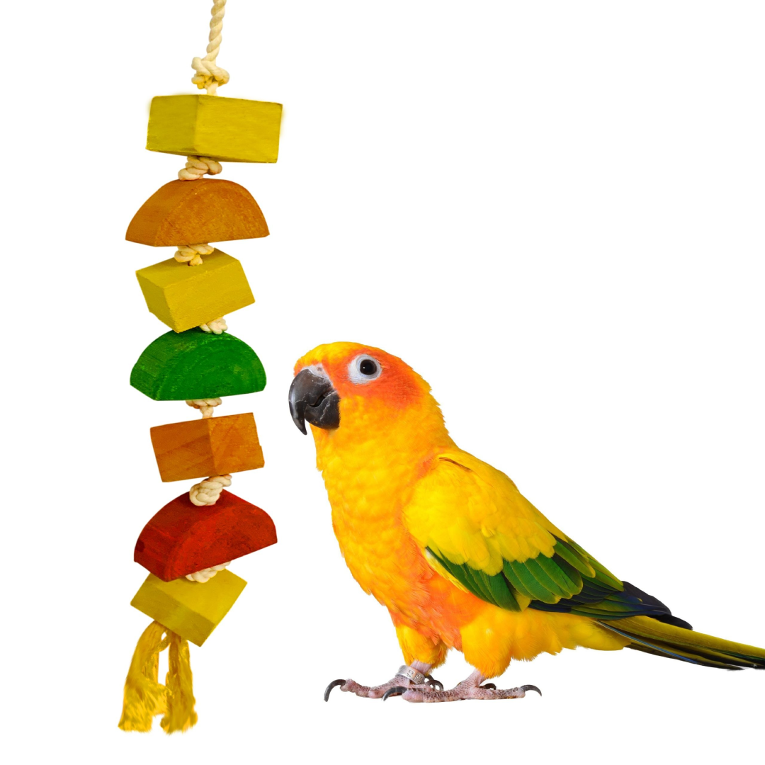 Colored Wooden & Chewing Toy for Big Birds
