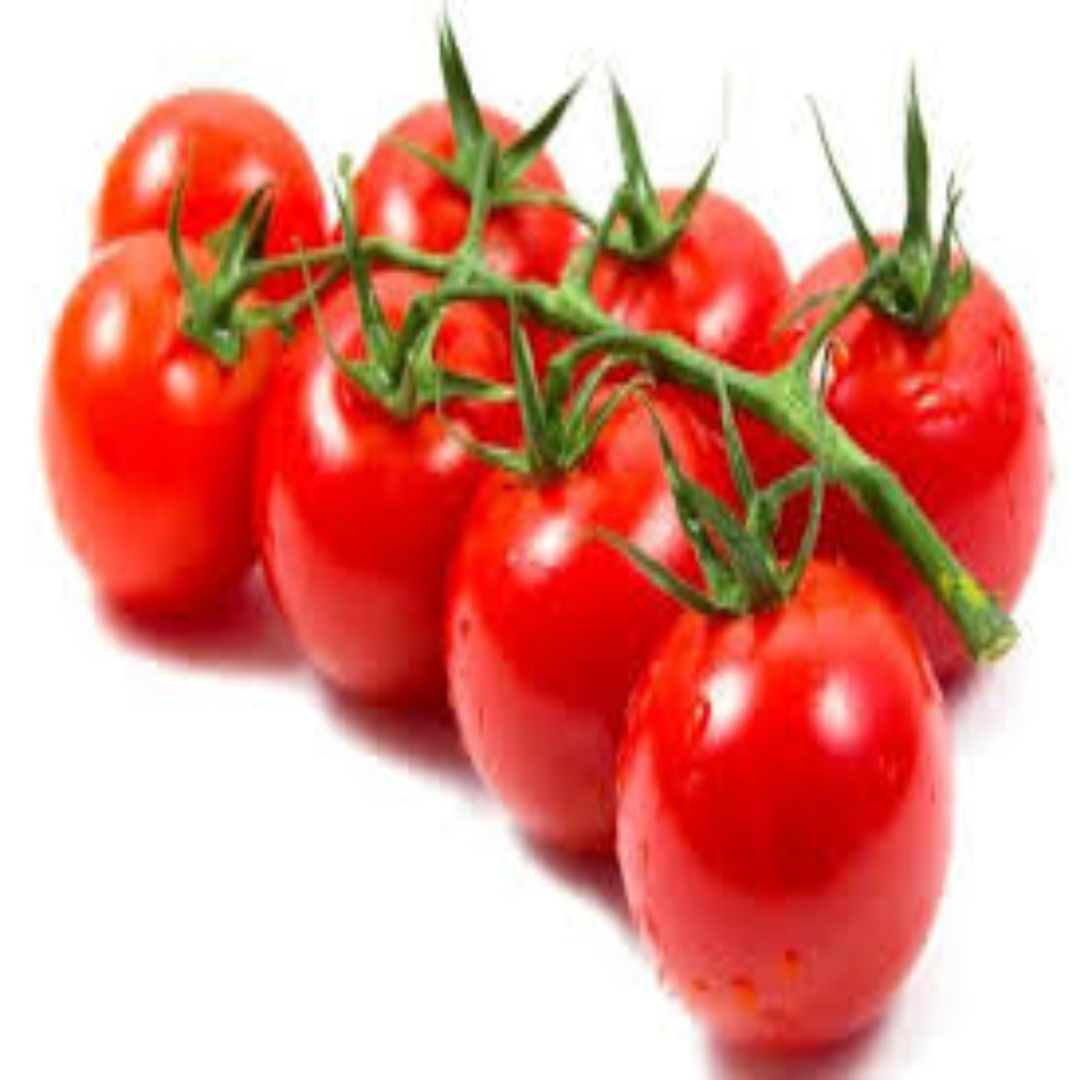 Cherry Tomatoes for Export-Grade Fresh Market Supply