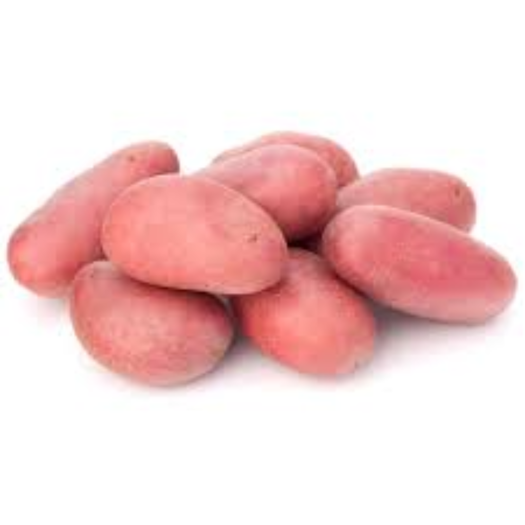 Red Potatoes for Global Trade and Fresh Produce Supply