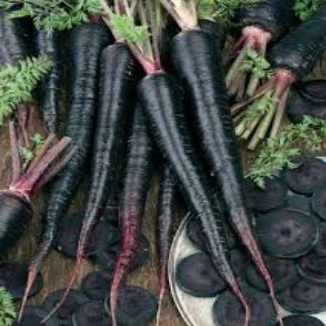 Fresh Black Carrots Rich in Antioxidants and Natural Sweet Flavor for Juices Salads and Cooking