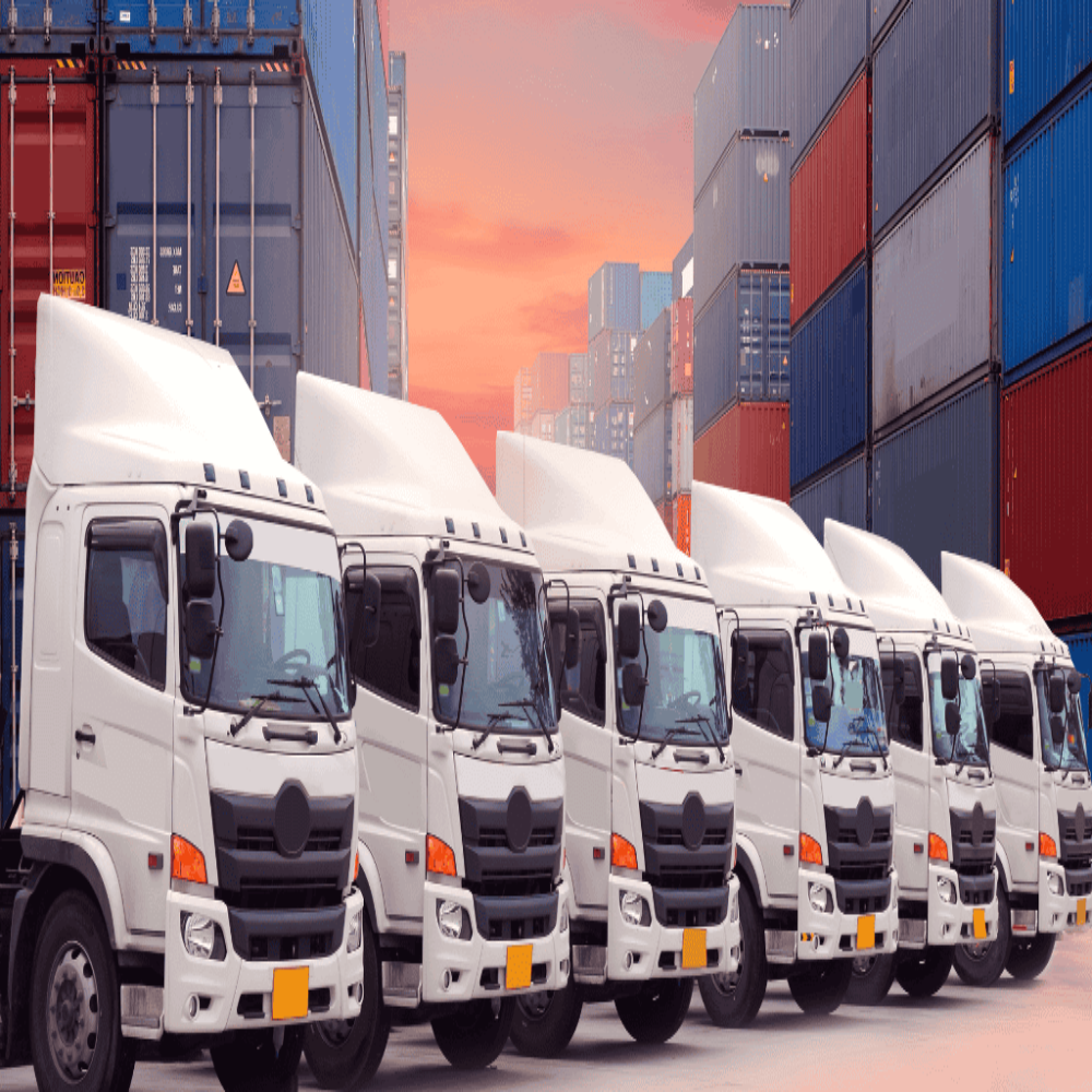 Transportation and Fleet Management