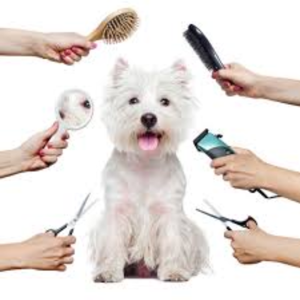Pet Grooming Supplies