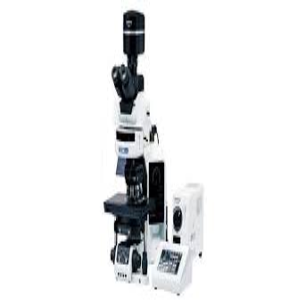 Fluorescence Microscopes