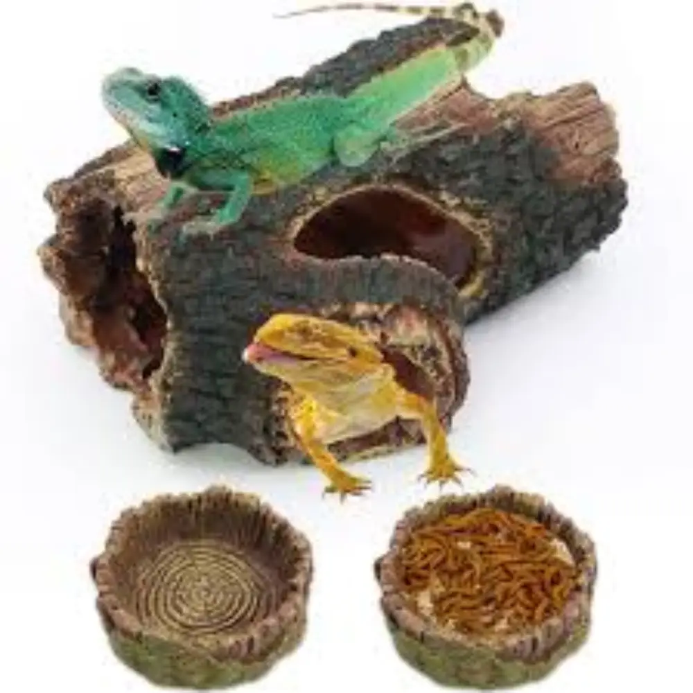 Fish and Reptile Treats