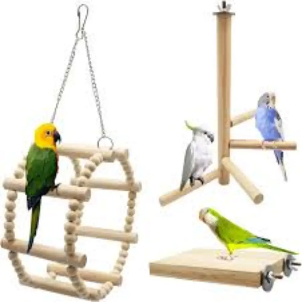 Bird Toys