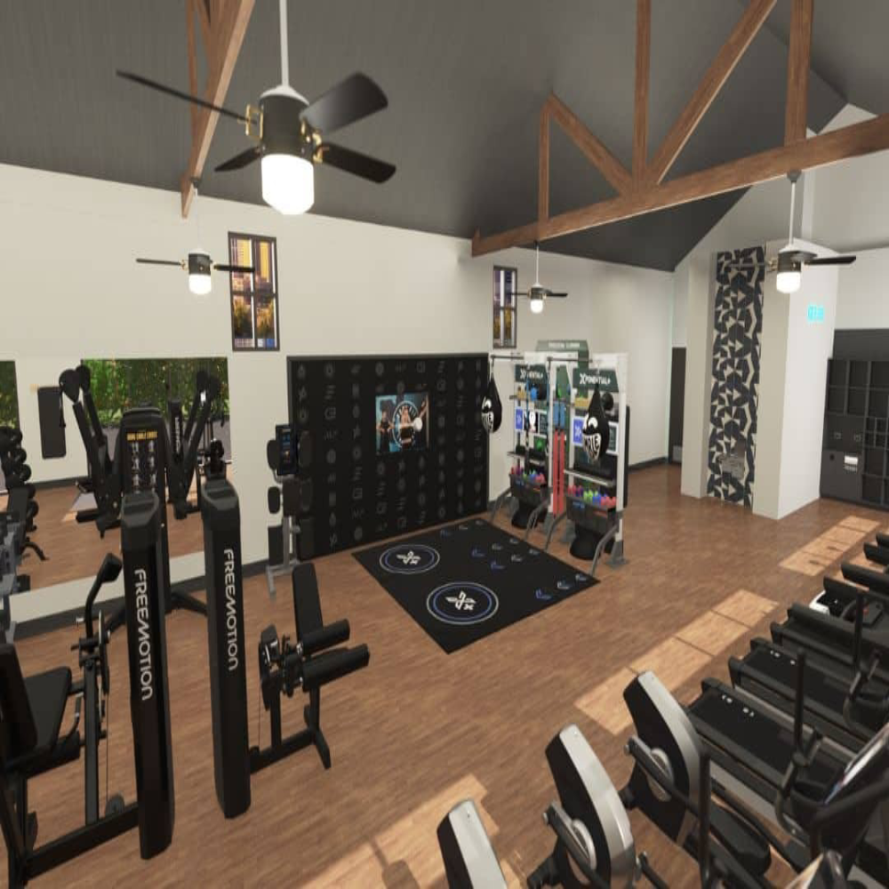 Gym and Fitness Equipment