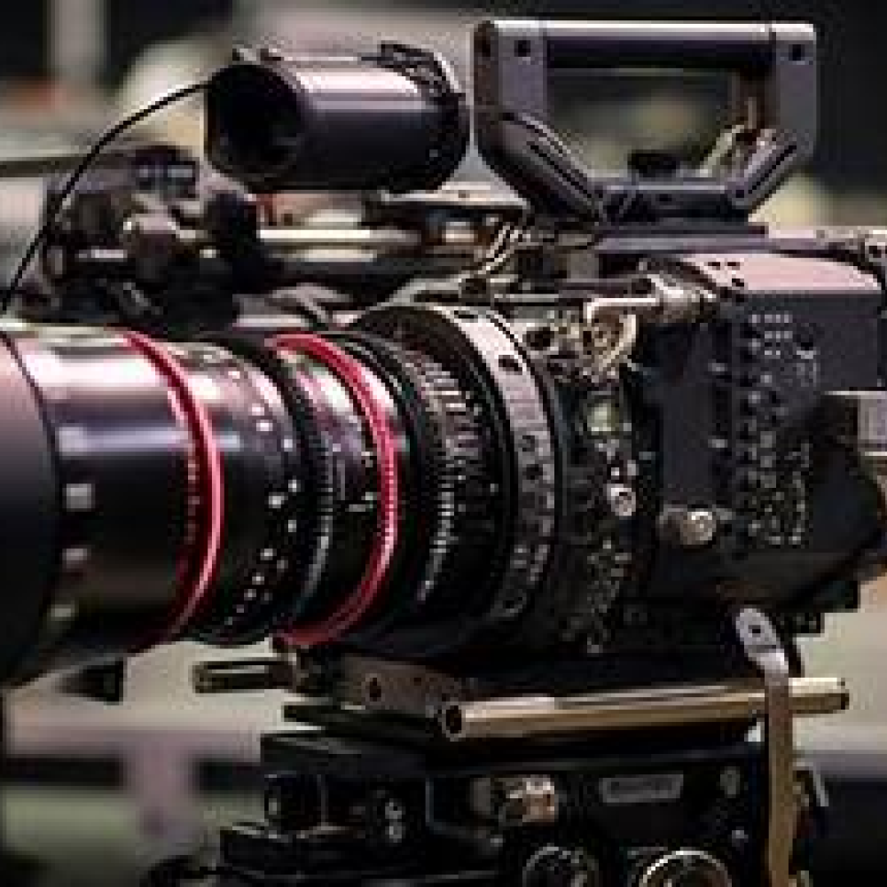 Rental and Leasing Services