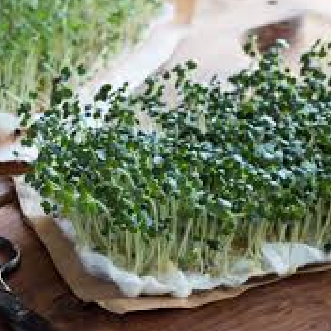 Herbs and Microgreens