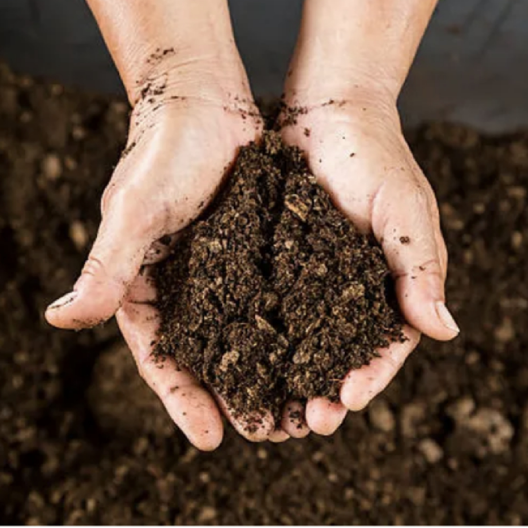 Soil and compost