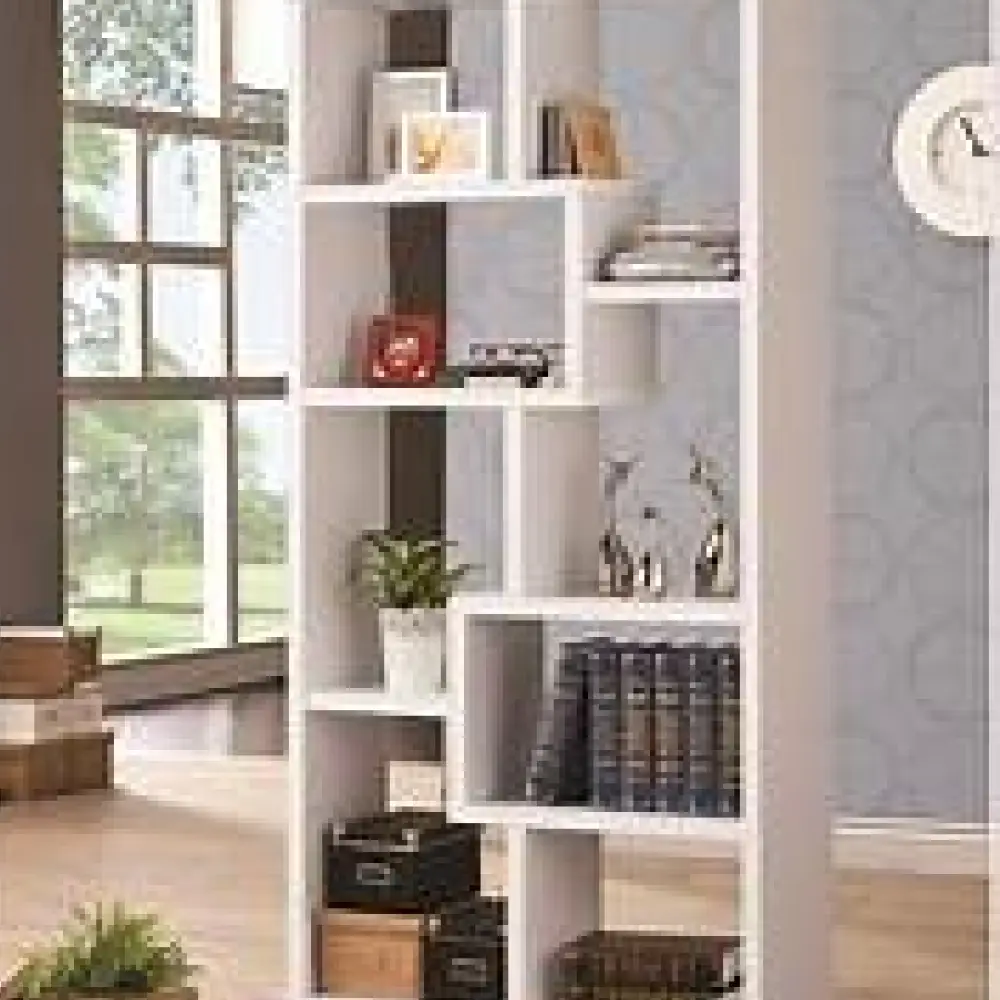 BookShelves & Storage