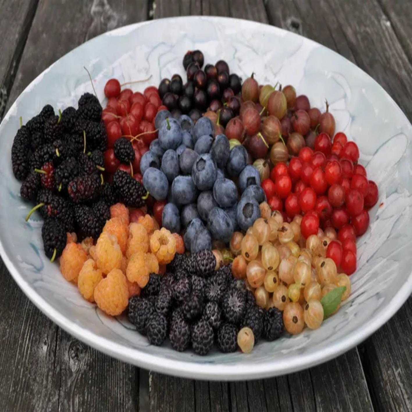 Berry Varieties