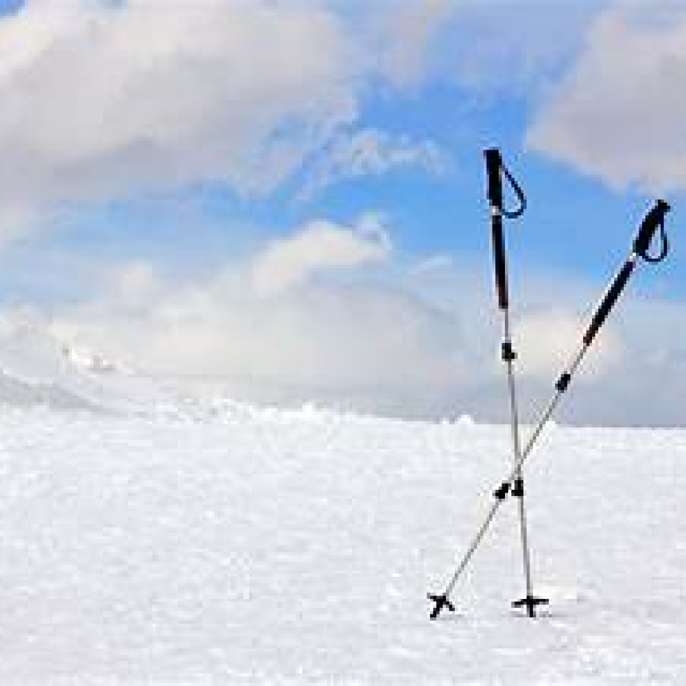 Ski Poles	