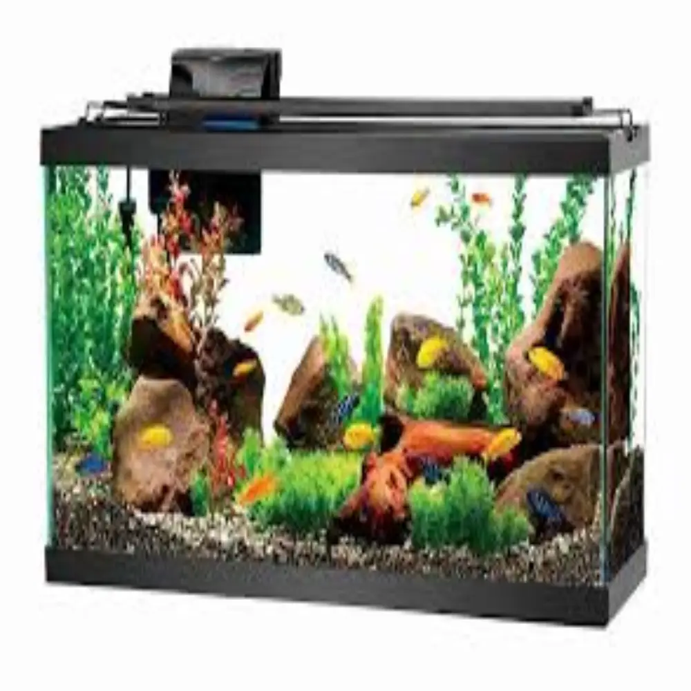 Aquariums and Fish Tanks