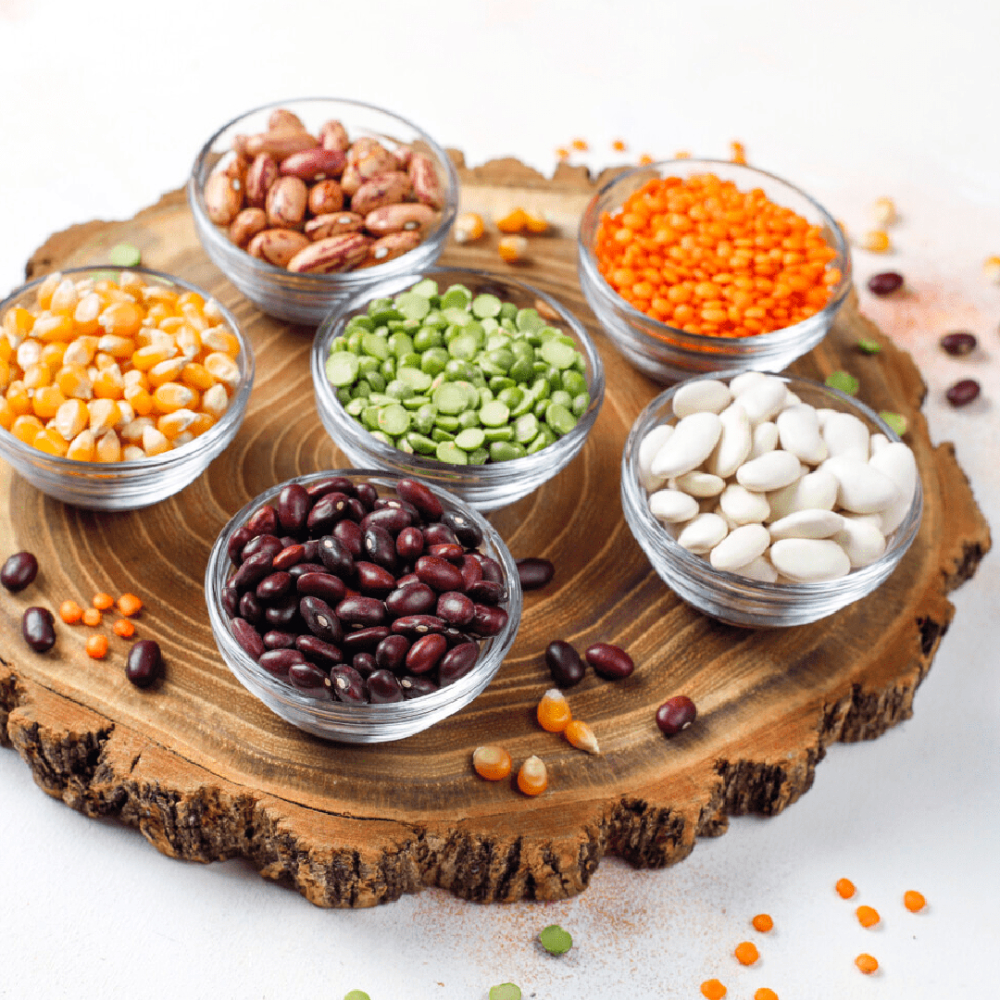 Pulse Protein